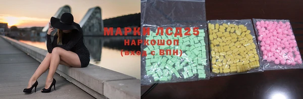 сатива Алзамай
