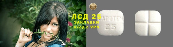 сатива Алзамай