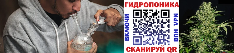 Купить где  Высоковск  Конопля семена 